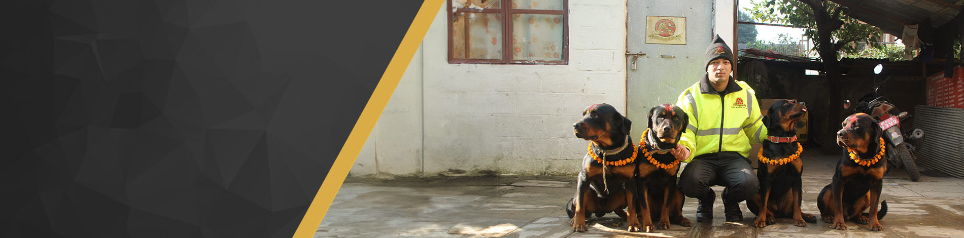 Guard Dog Services (K9)